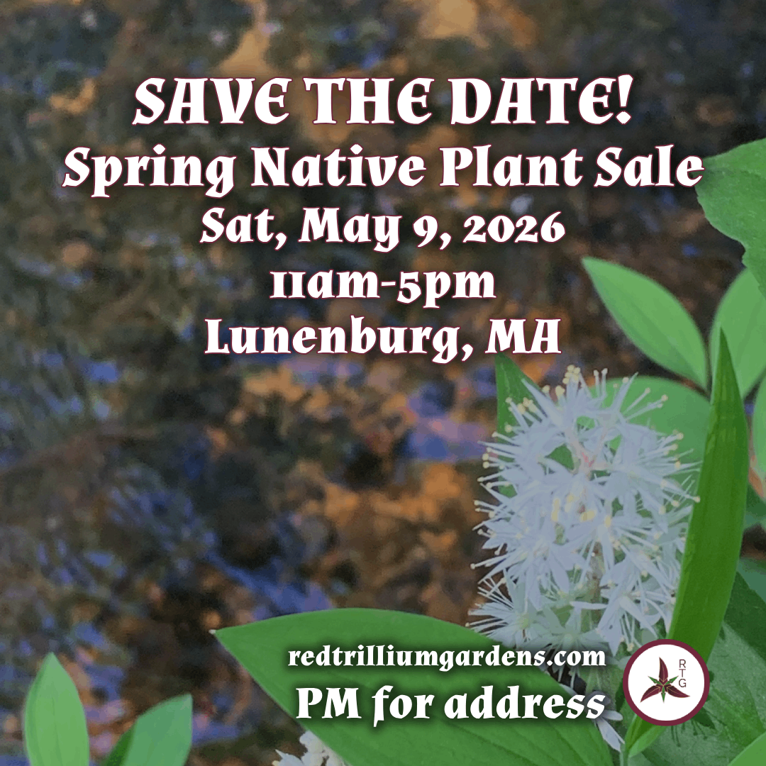 Save the Date - Spring Native Plant Sale - Sat, May 9, 2026 - 11am-5pm - Lunenburg, MA - PM for address