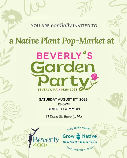 Native plant popup market at Beverly Garden Party - Saturday, August 8, 2026, 12pm-5pm, Beverly Common, 31 Dane St, Beverly, MA