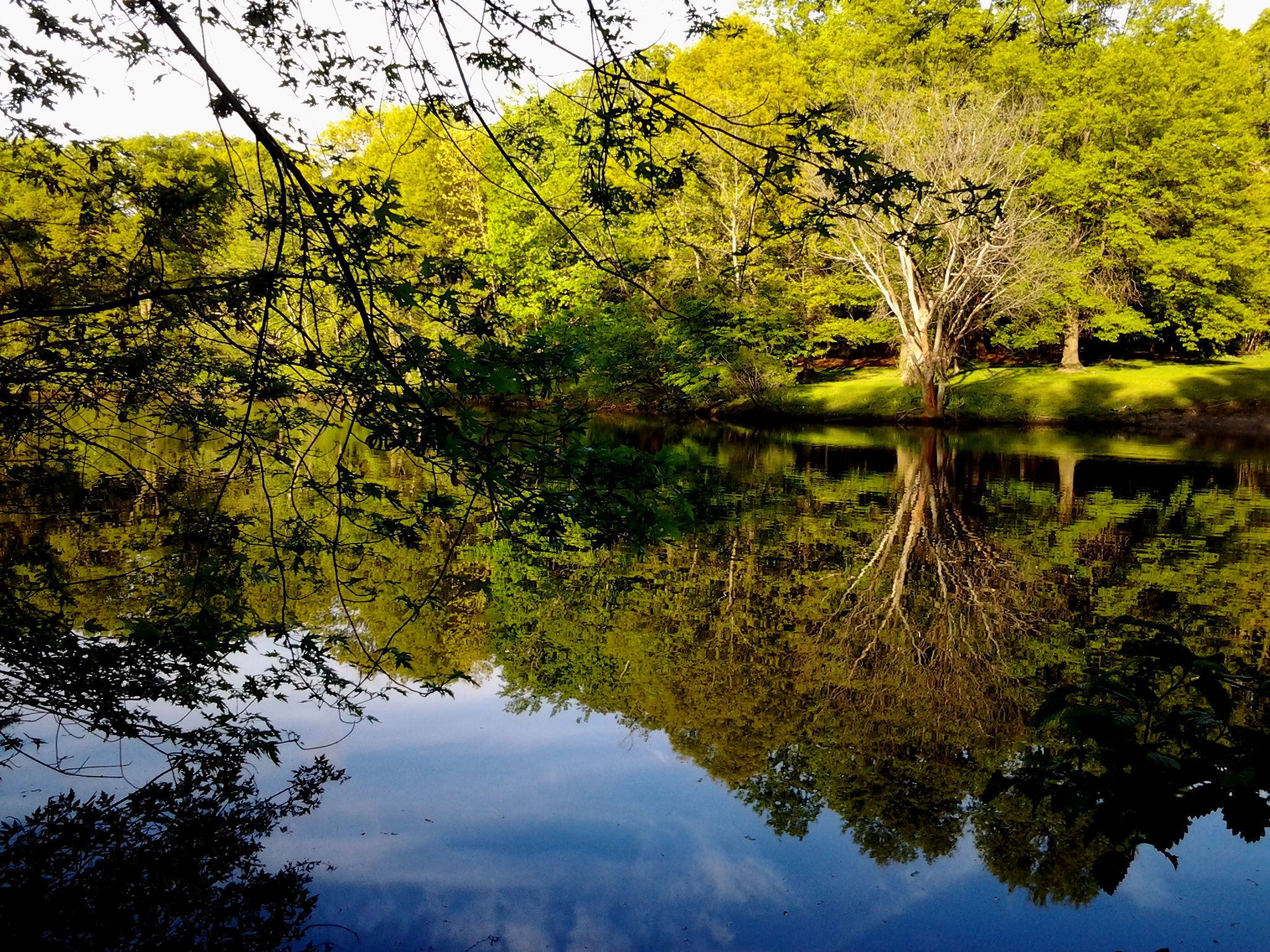image from Two-fer market week! Brookline and Leominster markets