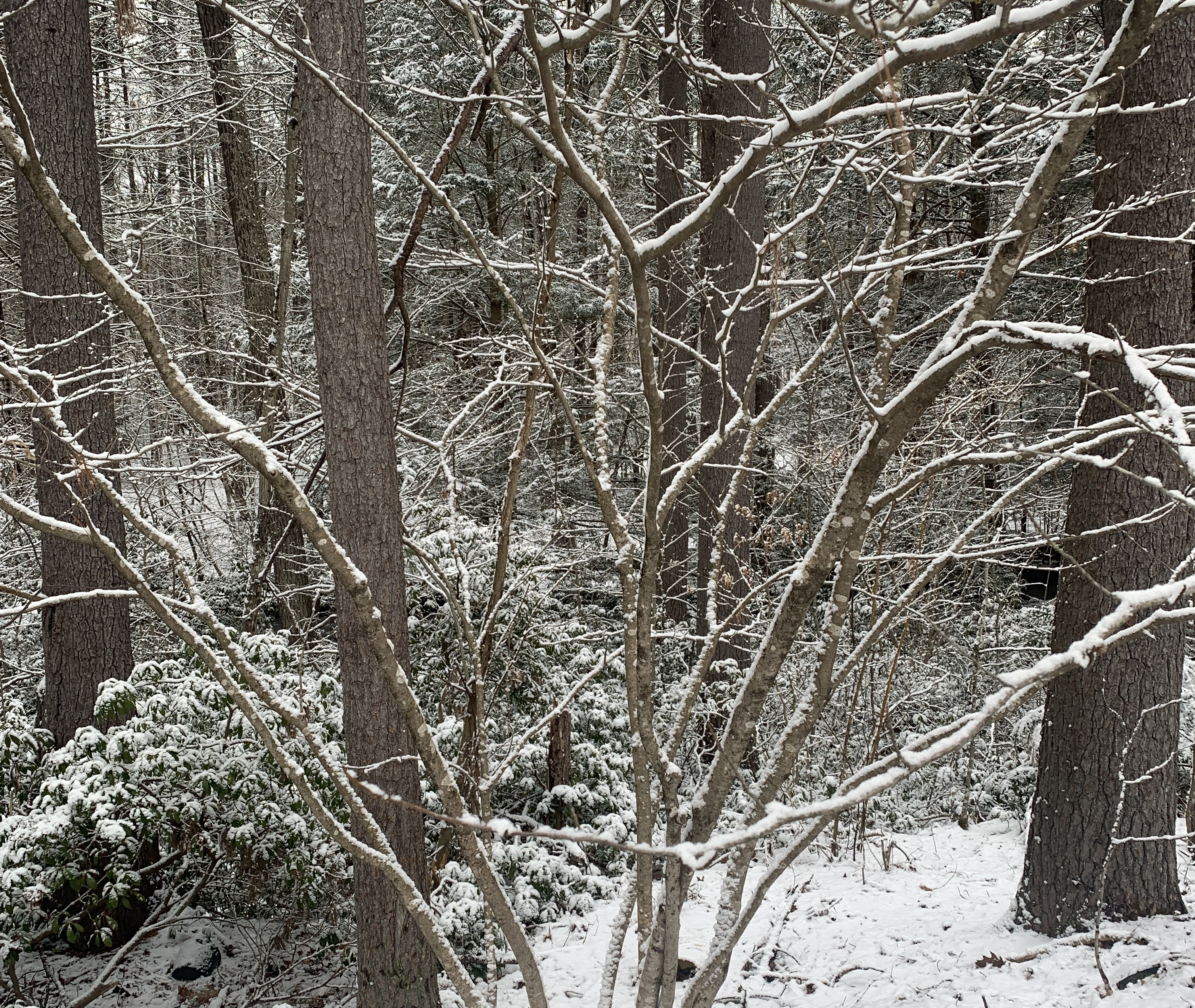 image from What We're Growing for 2026